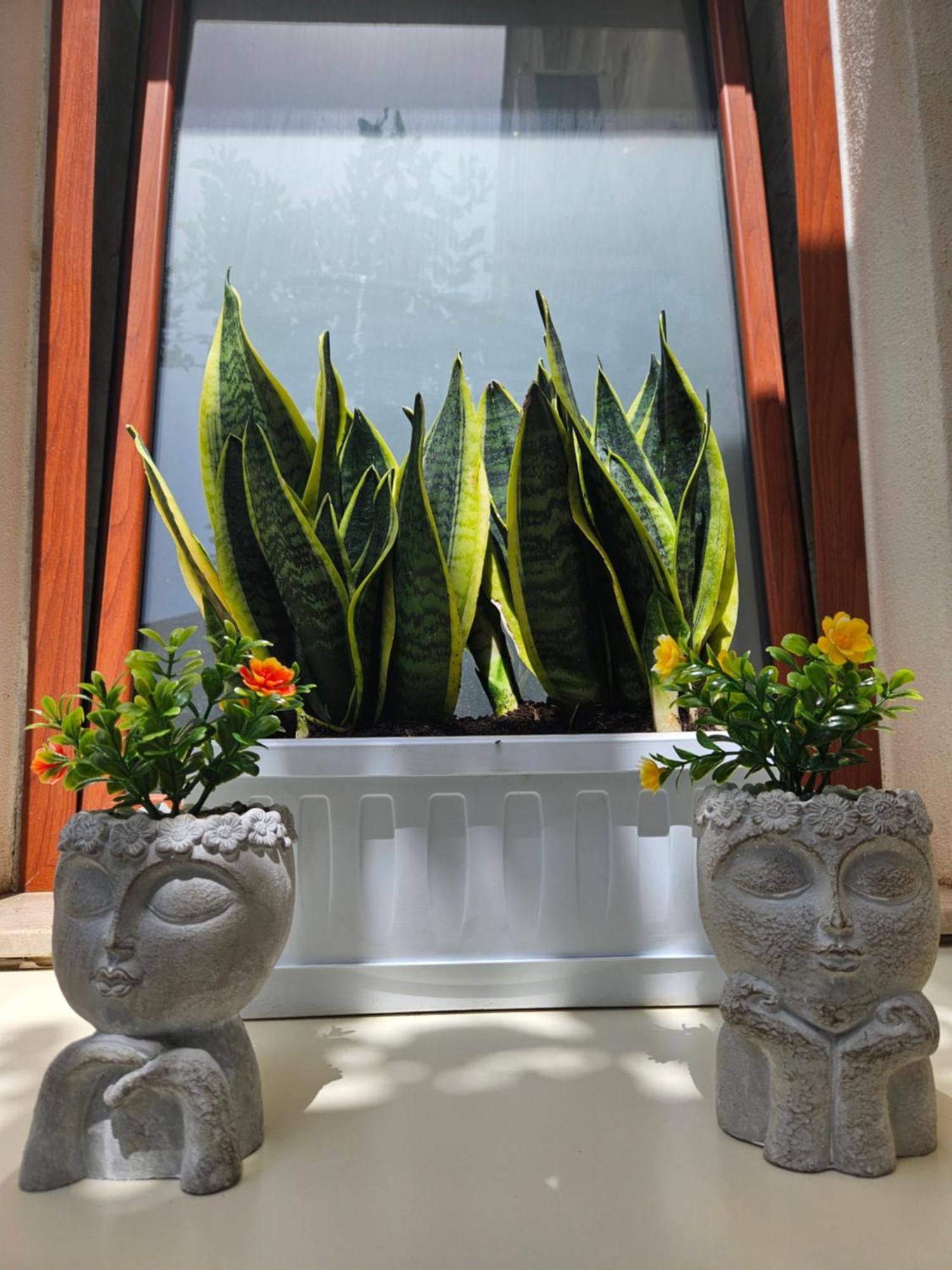 Guru House B&B Apartments Milazzo Buitenkant foto